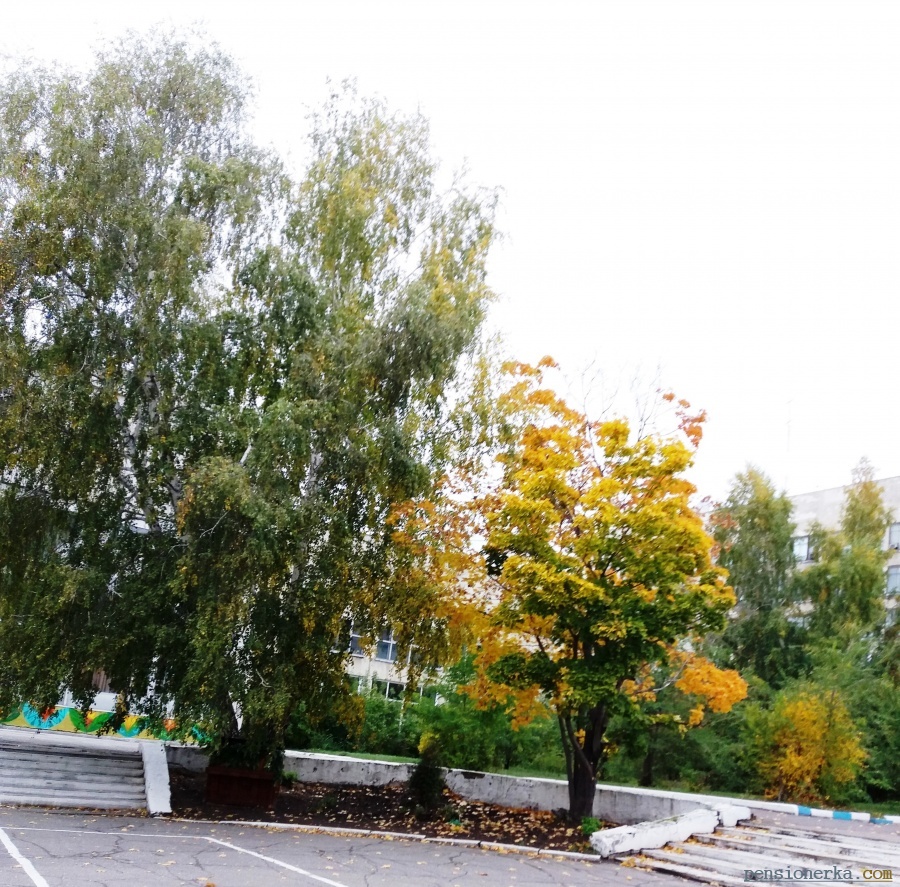 Осень шествует по Омску