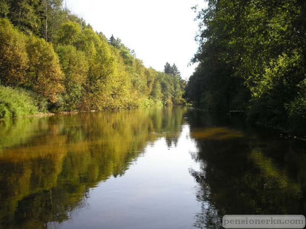 Вдоль по Сестре 1