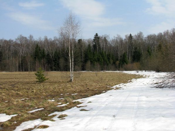 Мир пополам