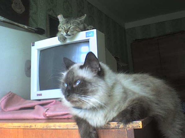ОБА