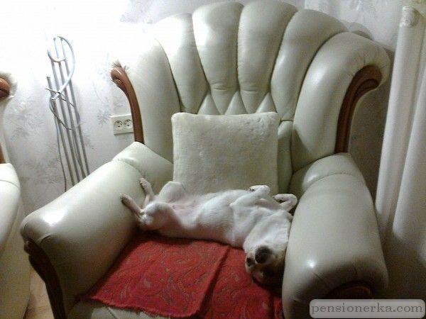 Моя любимая поза