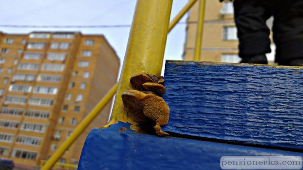 Трудовые резервы всегда готовы!