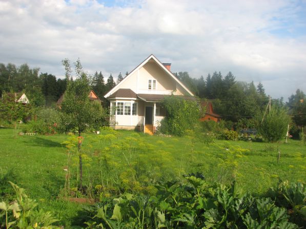 А это наша зеленушка , лужайка и дом с тыла