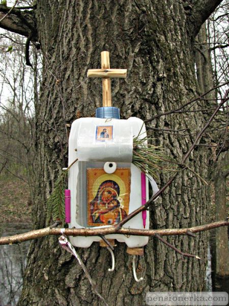 Приобщение птичек к духу святому