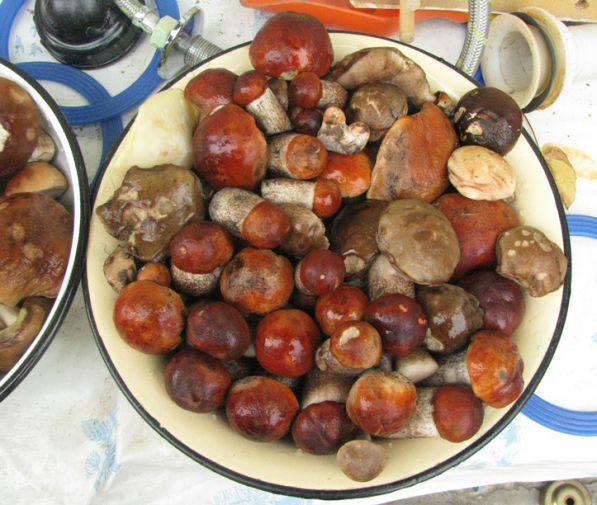 Красненькие