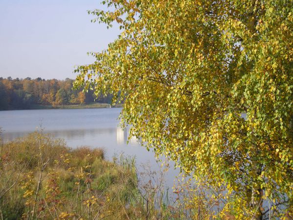 Лебедянский. Октябрь 2008. Фото 4
