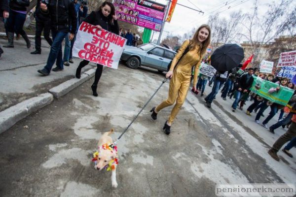 Монстрация 2013. Фото2576