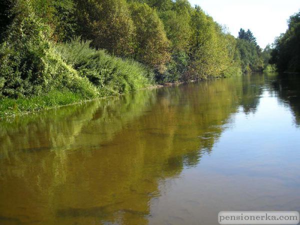 Сестра 3