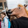 Монстрация 2013. Фото2581