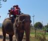 Тайланд. Южная Паттая. Катание на слонах