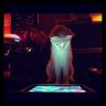 Фото кота с ноутбуком