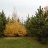 Фотоальбом 12.10.2014