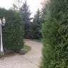 Осень в нашем саду