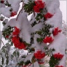 Природа