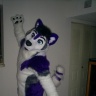 fursuit