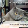 мое любимое зверье