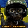 Фотоальбом 12.04.2017