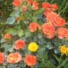 DSCN3294.JPG
