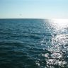 море