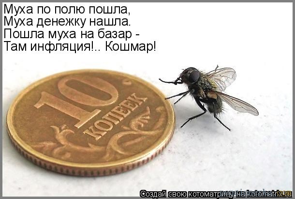 Мем Про Муху