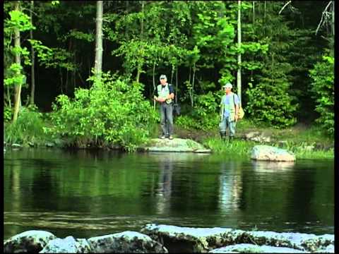 Передача Диалоги о рыбалке - Финляндия Форель на спиннинг