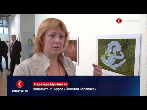Синергия ТВ: "Золотая черепаха 2013"