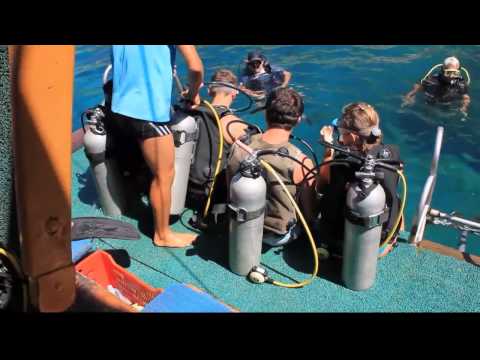 Diving дайвинг в Алании, Турция (MagicDive)