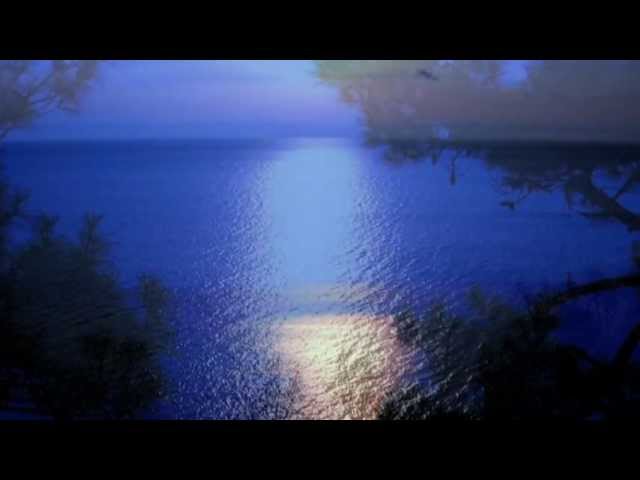 Л.Бетховен "Лунная соната" - Ludwig Van Beethoven - Moonlight Sonata