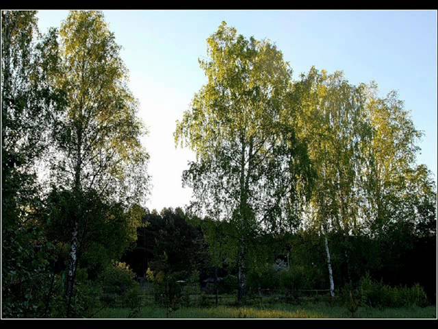 Смотреть Нина Бродская - Первая любовь.